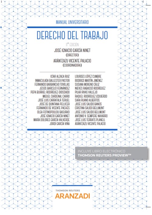 Книга Derecho del Trabajo (Papel + e-book) 