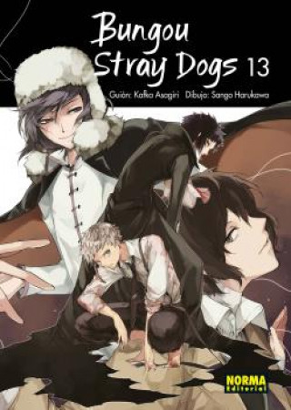 Kniha BUNGOU STRAY DOGS 13 ASAGIRI-HARUKAWAA