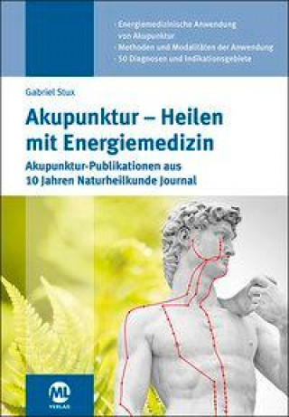 Kniha Akupunktur - Heilen mit Energiemedizin 