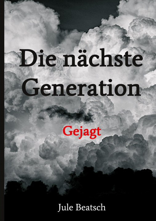 Book Die nächste Generation Jule Beatsch
