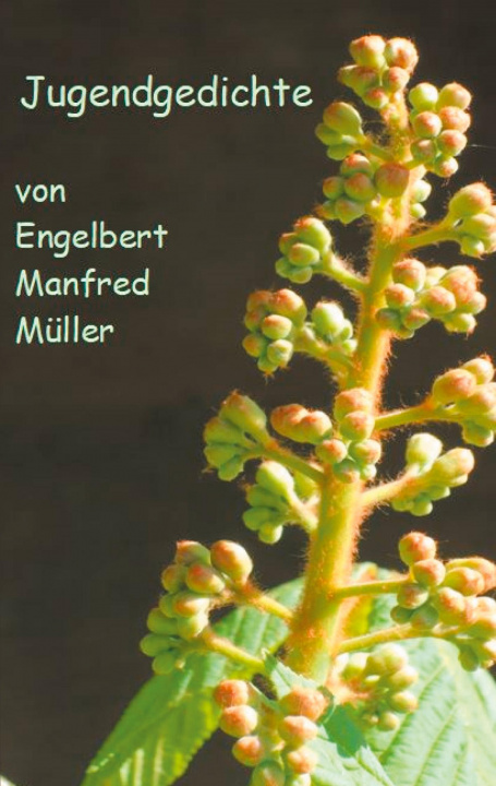 Knjiga Jugendgedichte Engelbert Manfred Müller