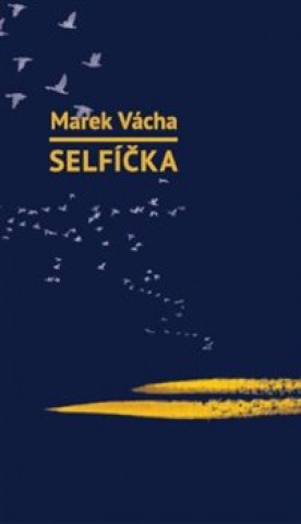 Kniha Selfíčka Marek Orko Vácha