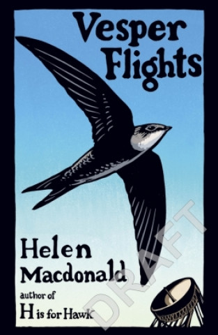 Kniha Vesper Flights 