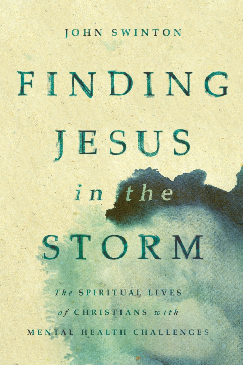 Knjiga Finding Jesus in the Storm John Swinton