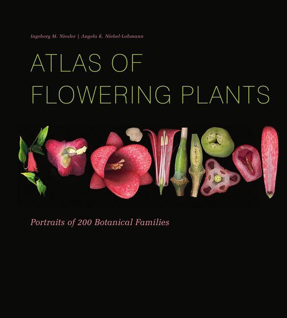 Kniha Atlas of Flowering Plants: Visual Studies of 200 Deconstructed Botanical Families Angela K. Niebel-Lohmann