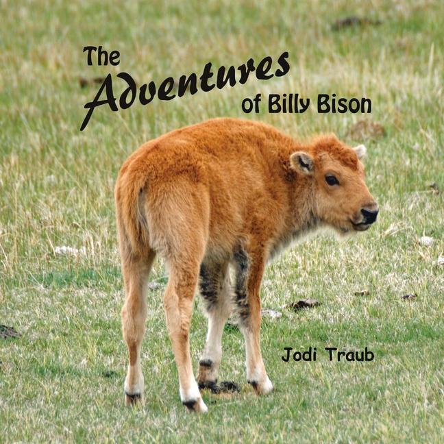 Carte Adventures of Billy Bison 