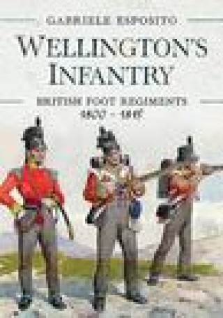 Kniha Wellington's Infantry Gabriele Esposito