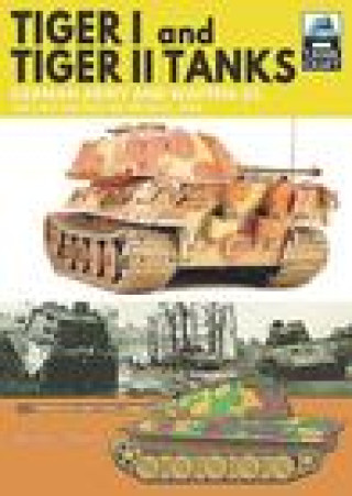 Kniha Tiger I and Tiger II Tanks Dennis Oliver