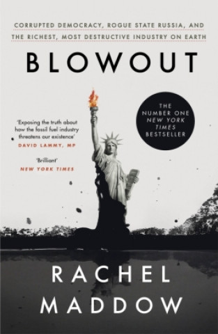 Kniha Blowout Rachel Maddow