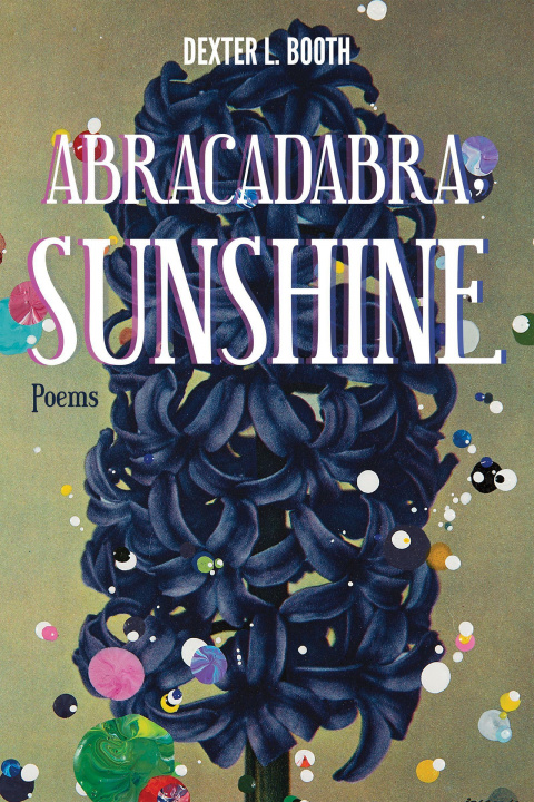 Book Abracadabra, Sunshine Dexter L. Booth