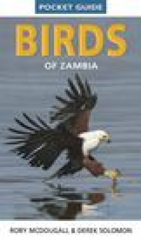 Könyv Pocket Guide Birds of Zambia Rory McDougall