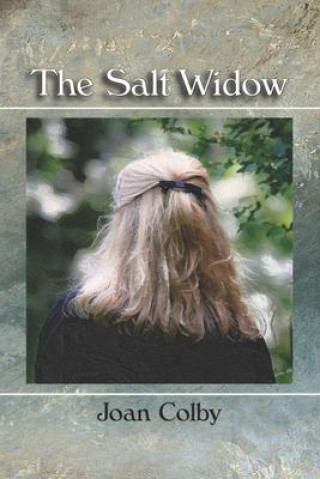 Buch The Salt Widow Diane Kistner