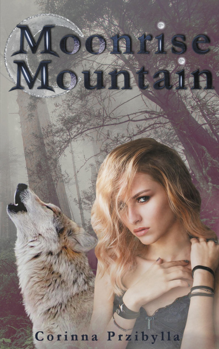 Knjiga Moonrise Mountain Corinna Przibylla