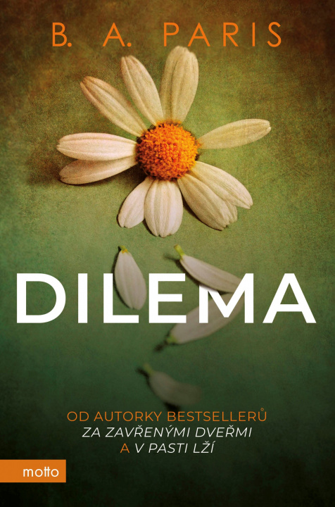 Book Dilema B. A. Paris