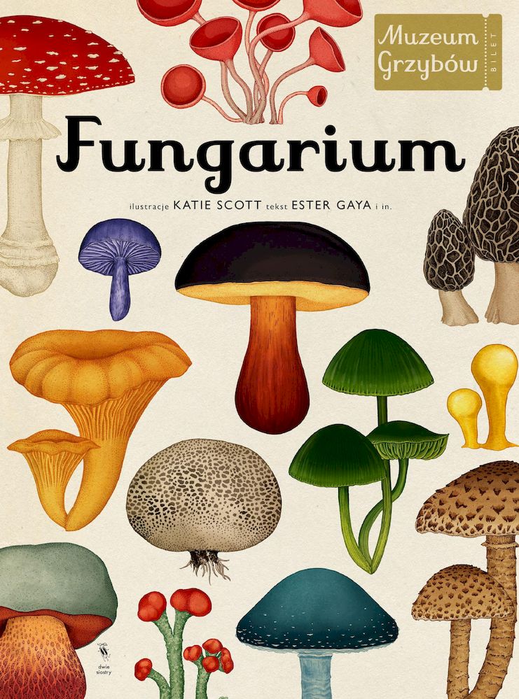 Kniha Fungarium. Muzeum Grzybów Opracowanie zbiorowe