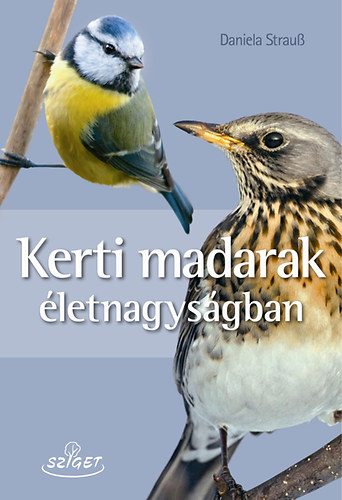 Könyv Kerti madarak életnagyságban Daniela Strauβ