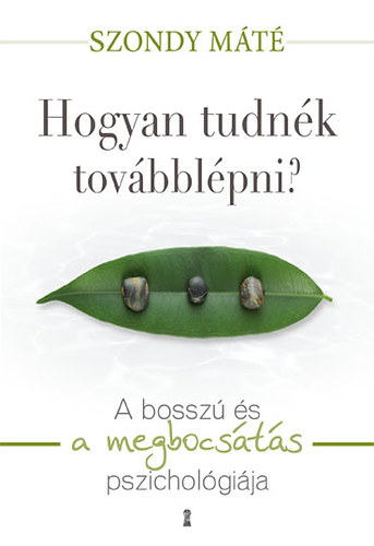 Buch Hogyan tudnék továbblépni? Dr. Szondy Máté