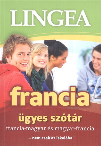 Kniha Lingea francia ügyes szótár 