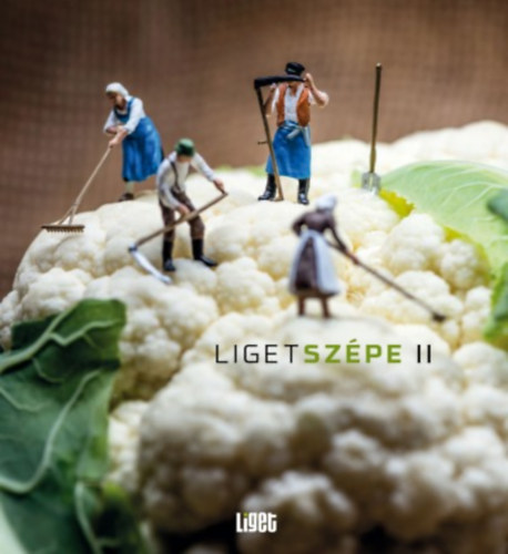 Knjiga Ligetszépe 2 
