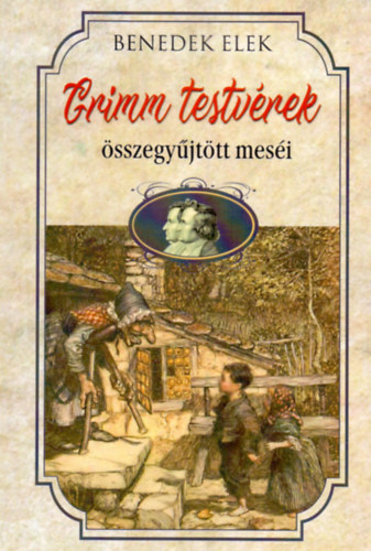 Kniha Grimm testvérek összegyűjtött meséi Grimm Testvérek