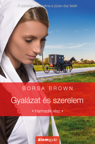 Kniha Gyalázat és szerelem Borsa Brown