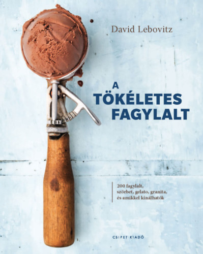 Książka A tökéletes fagylalt David Lebovitz