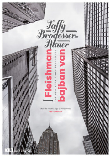 Libro Fleishman bajban van Taffy Brodesser-Akner