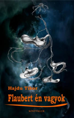 Knjiga Flaubert én vagyok Hajdu Tibor