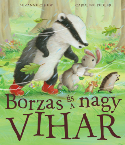 Książka Borzas és a nagy vihar Suzanne Chiew