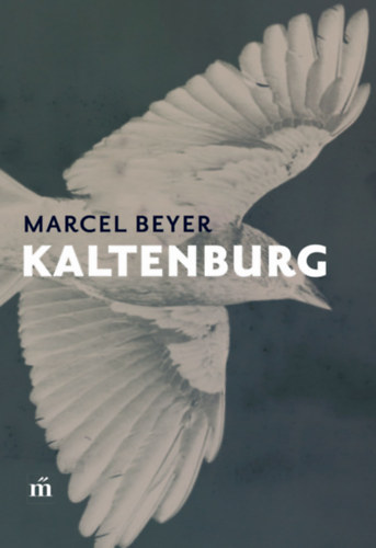 Kniha Kaltenburg Marcel Beyer