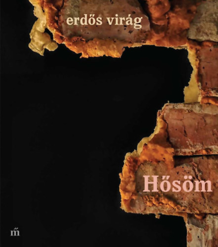 Knjiga Hősöm Erdős Virág