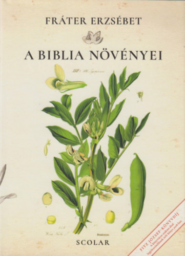 Könyv A Biblia növényei Fráter Erzsébet