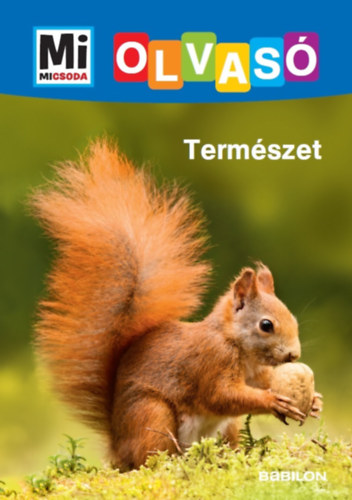Buch Természet Christina Braun