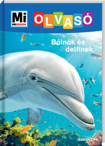 Книга Bálnák és delfinek Christina Braun