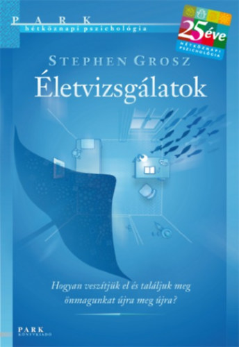 Kniha Életvizsgálatok Stephen Grosz