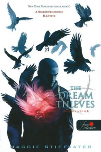 Könyv The Dream Thieves - Álomrablók Maggie Stiefvater
