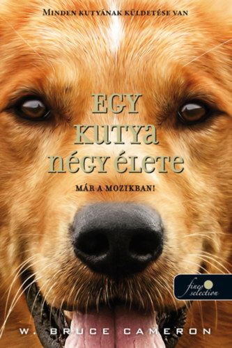 Book Egy kutya négy élete - puha kötés W. Bruce Cameron