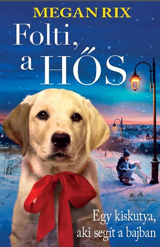 Boek Folti, a hős Megan Rix