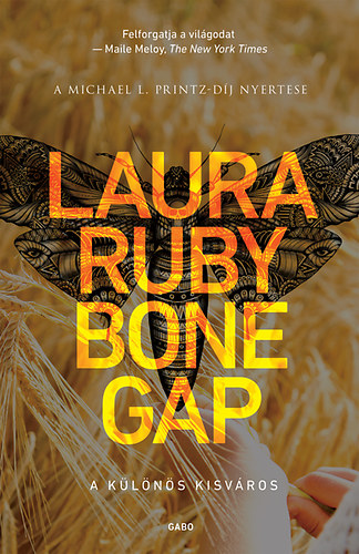 Book Bone Gap Laura Ruby