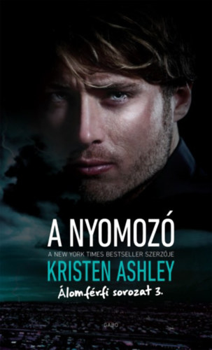 Kniha A nyomozó Kristen Ashley