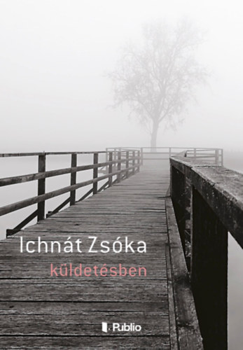 Livro Küldetésben Ichnát Zsóka