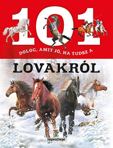 Livro 101 dolog, amit jó ha tudsz a lovakról 