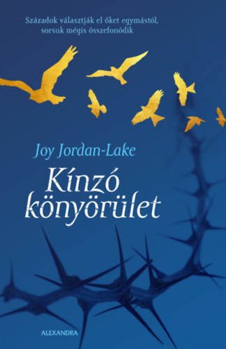Buch Kínzó könyörület Joy Jordan-Lake