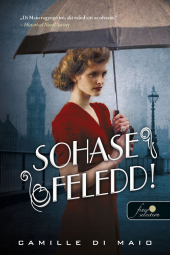 Buch Sohase feledd! Camille Di Maio