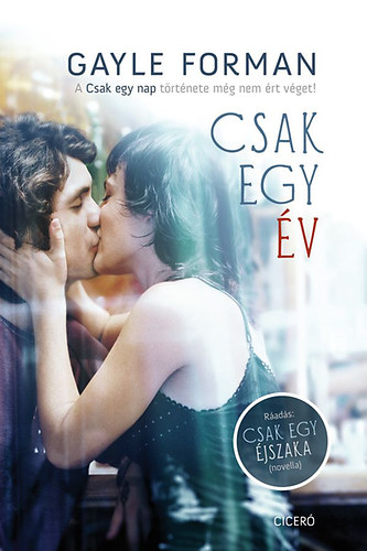 Carte Csak egy év Gayle Forman