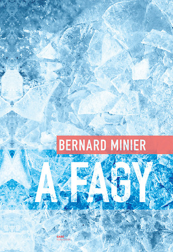 Boek A fagy Bernard Minier