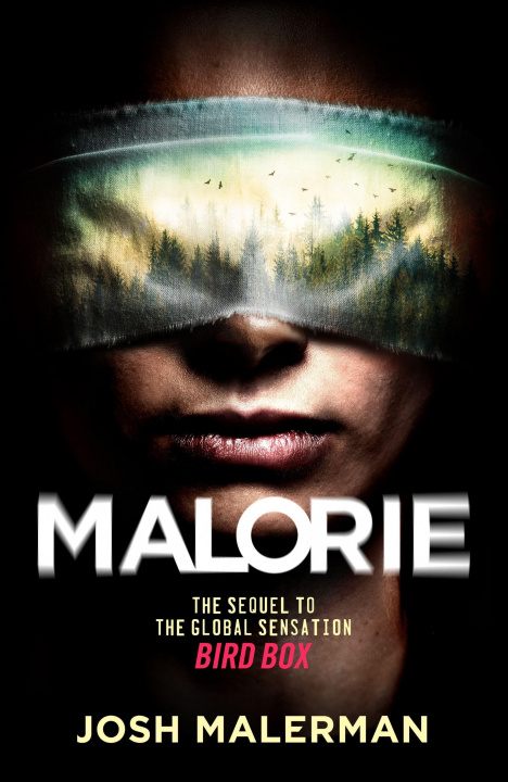 Kniha Malorie 