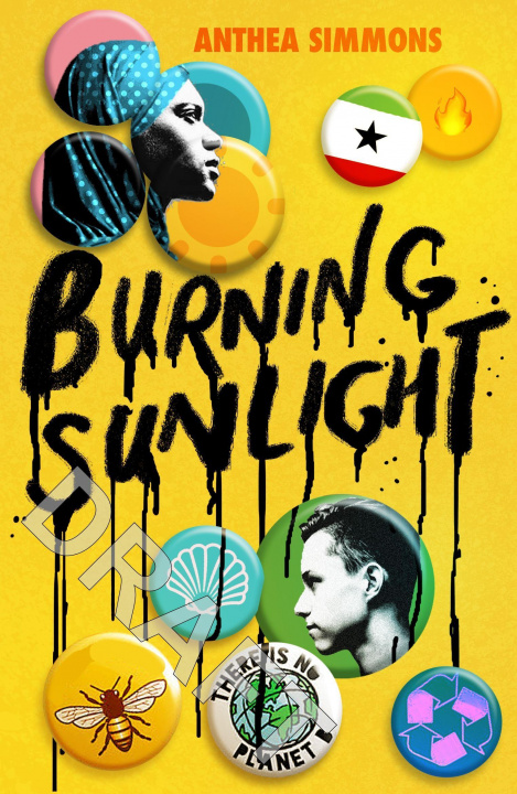 Book Burning Sunlight Anthea Simmons