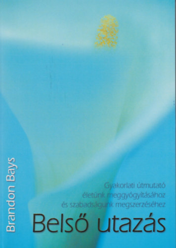 Book Belső utazás Brandon Bays