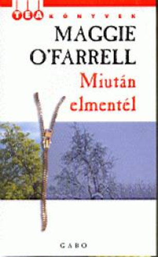 Knjiga Miután elmentél Maggie O'Farrell
